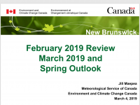 February 2019 review