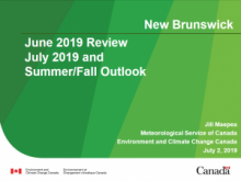 June 2019 review